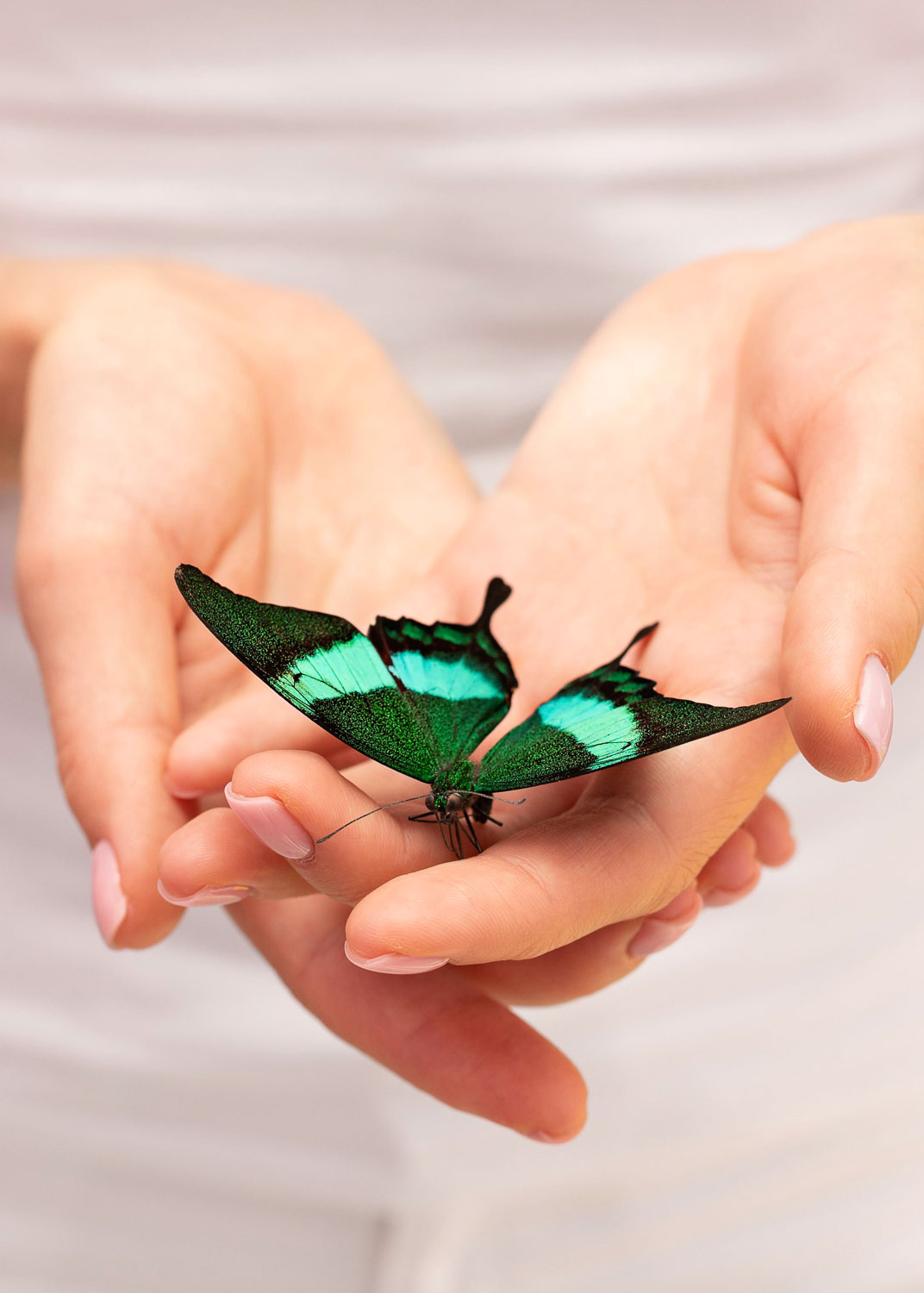 Ulrike-Haiden-Bwerufsweg-Coaching-Frauen-im-beruflichen-Wandel-94